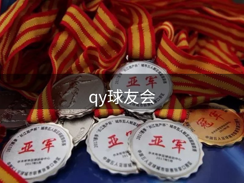 公司成就
